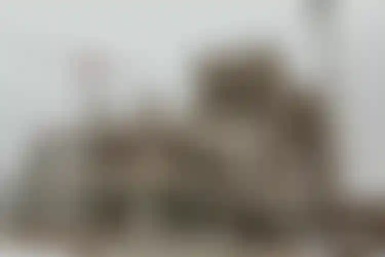 Изображение галереи