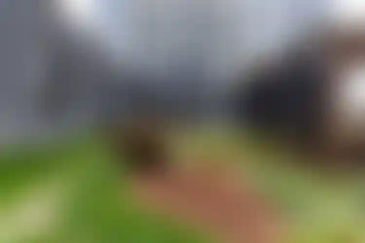 Изображение галереи