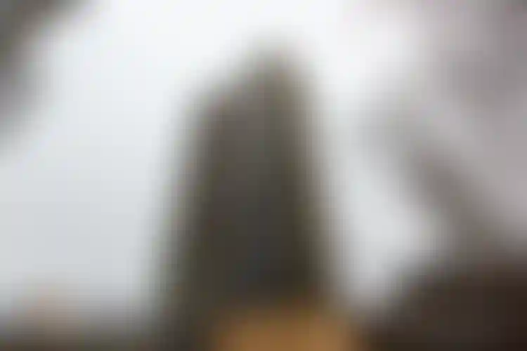 Изображение галереи