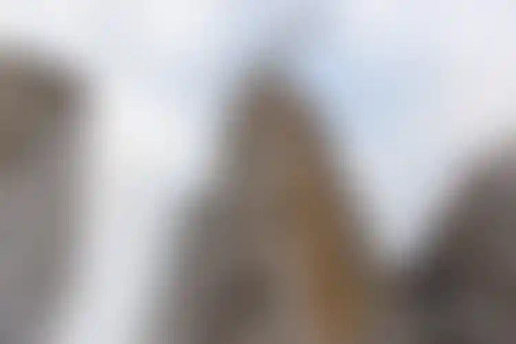 Изображение галереи