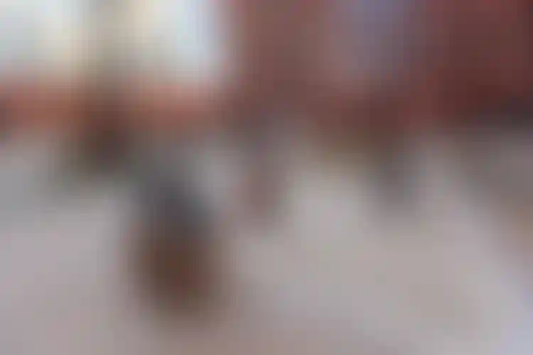 Изображение галереи