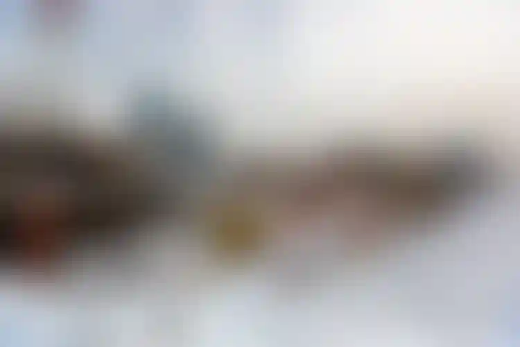 Изображение галереи