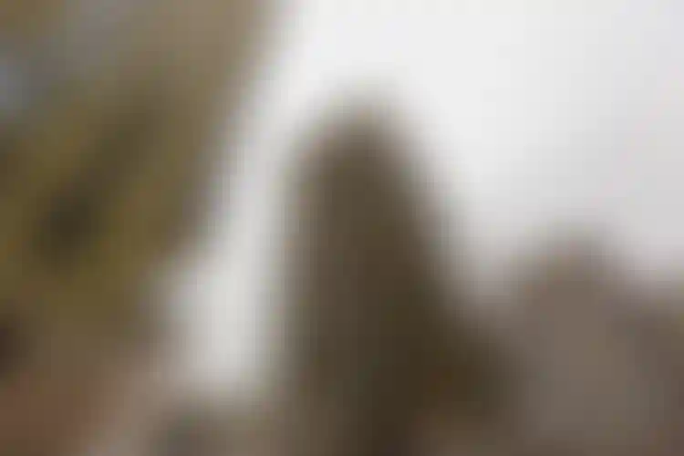 Изображение галереи