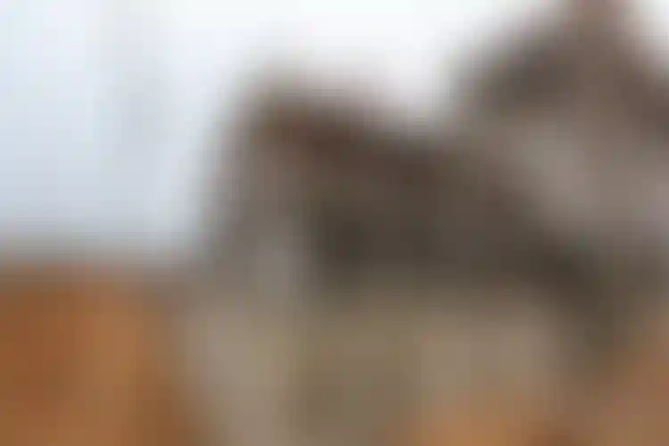 Изображение галереи