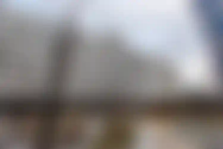 Изображение галереи