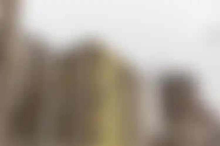 Изображение галереи