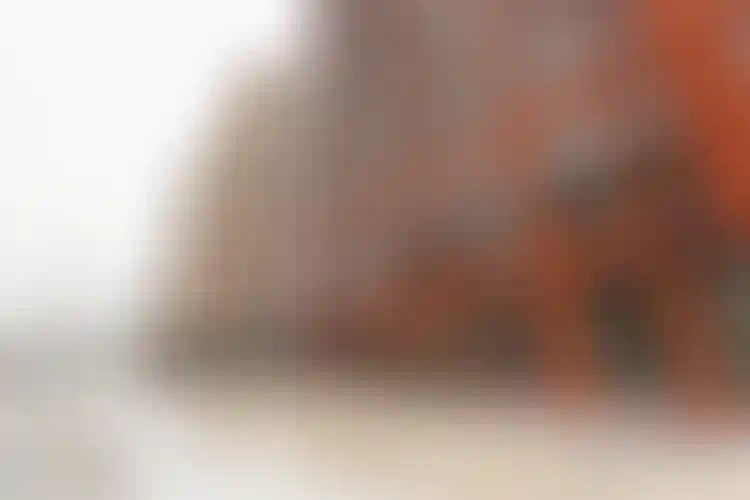 Изображение галереи