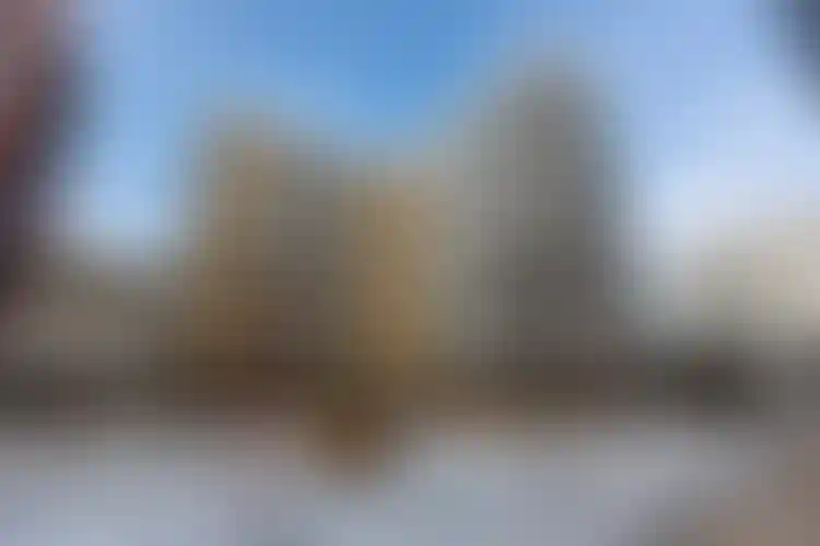 Изображение галереи