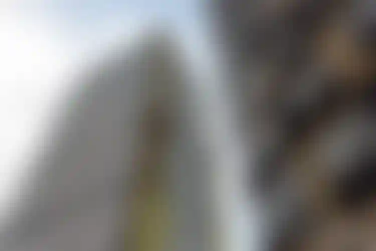 Изображение галереи