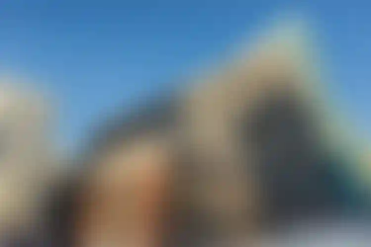 Изображение галереи