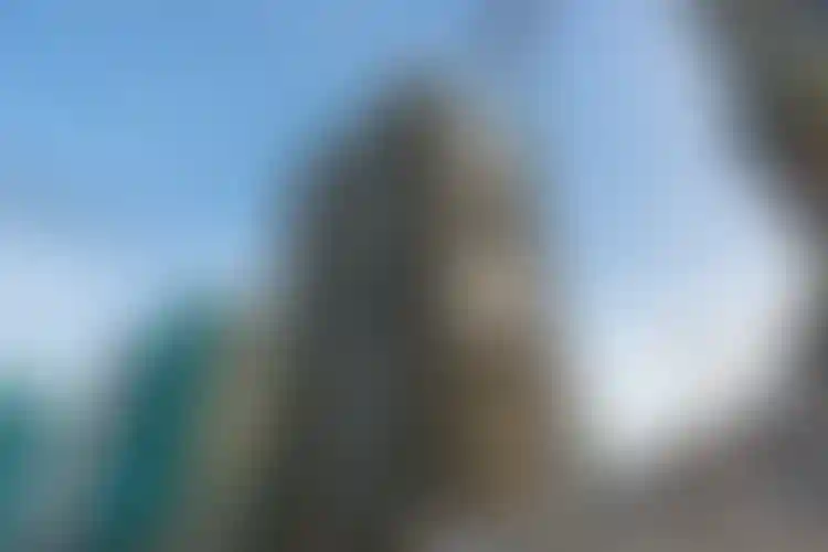 Изображение галереи