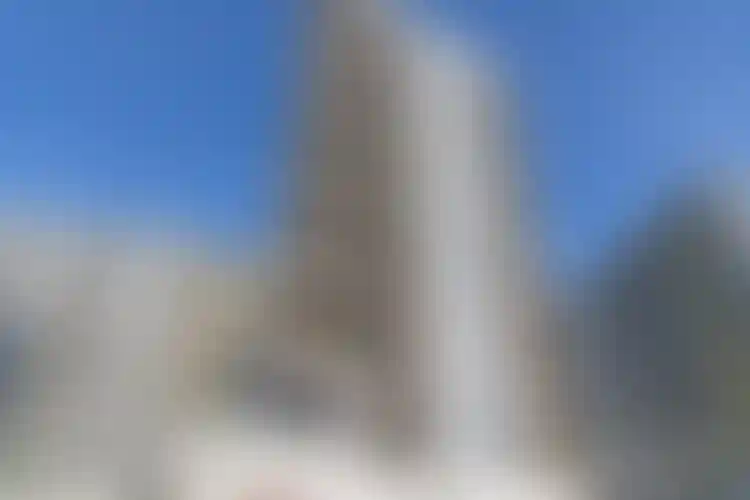 Изображение галереи