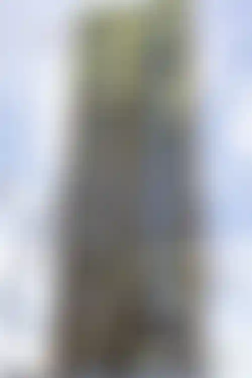 Изображение галереи