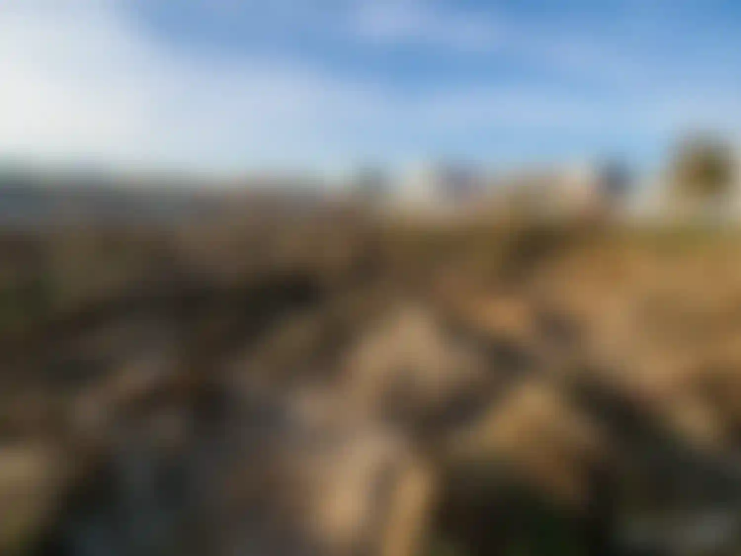 Изображение галереи