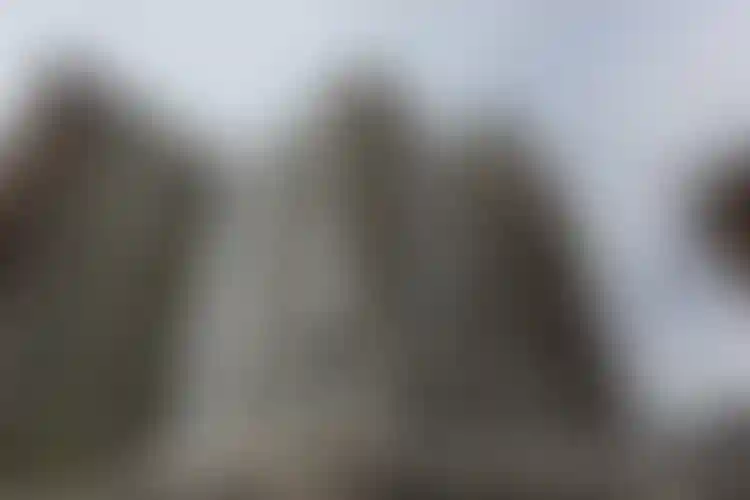 Изображение галереи