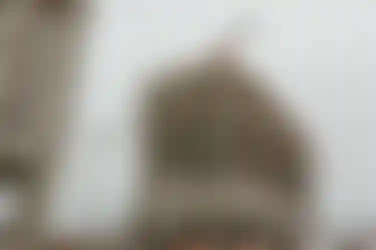 Изображение галереи