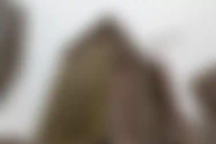 Изображение галереи