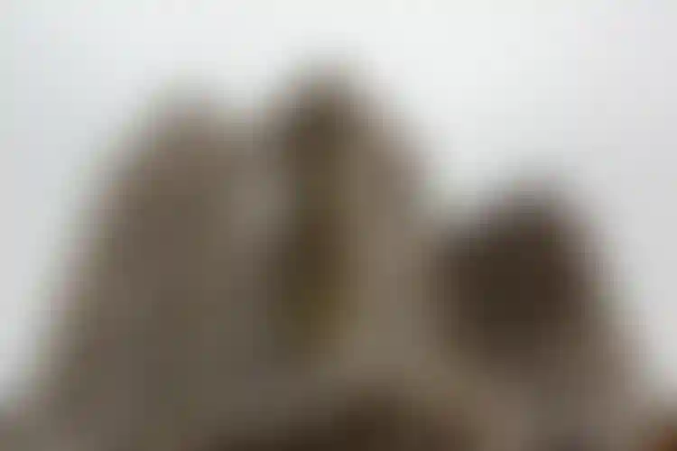 Изображение галереи