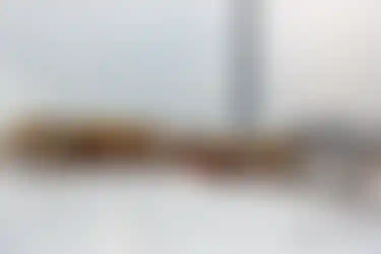 Изображение галереи