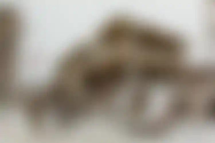 Изображение галереи