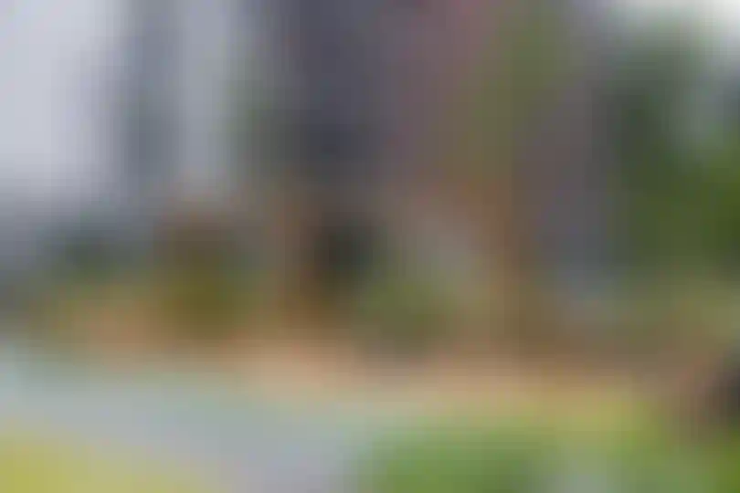 Изображение галереи