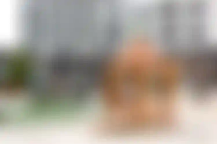 Изображение галереи