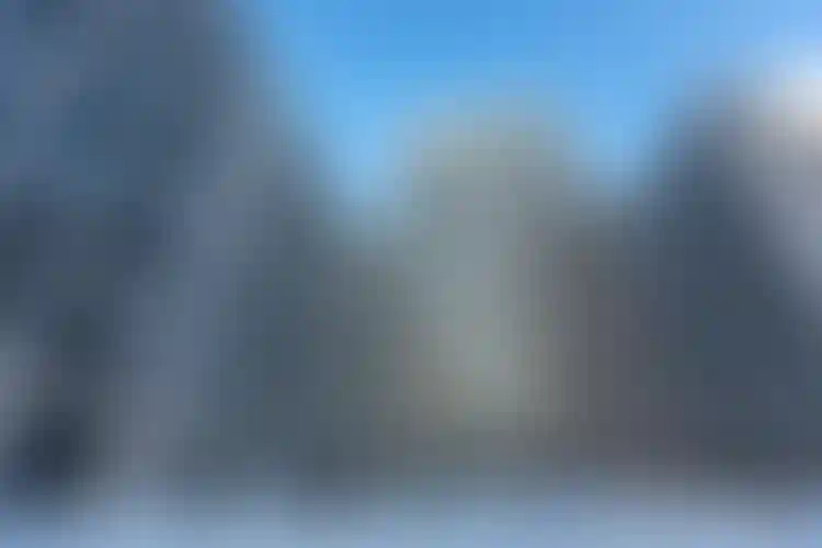 Изображение галереи