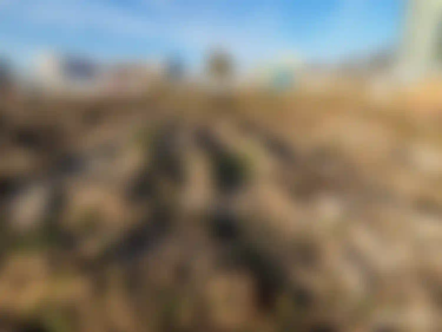 Изображение галереи