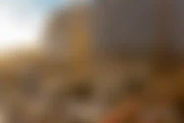 Изображение галереи