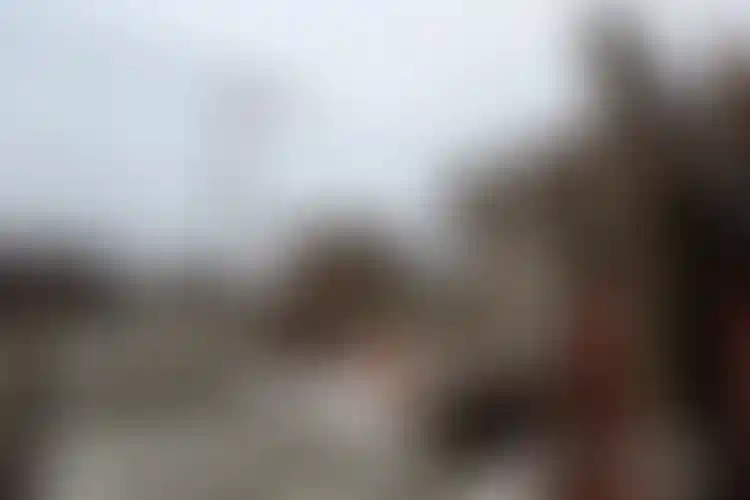 Изображение галереи