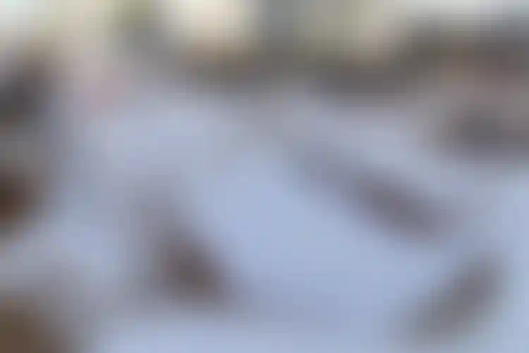 Изображение галереи