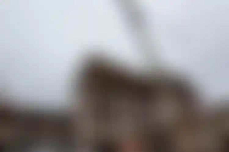 Изображение галереи