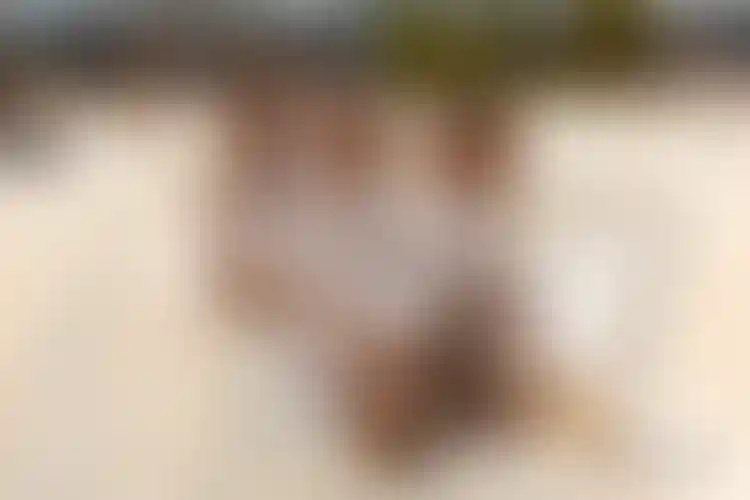 Изображение галереи