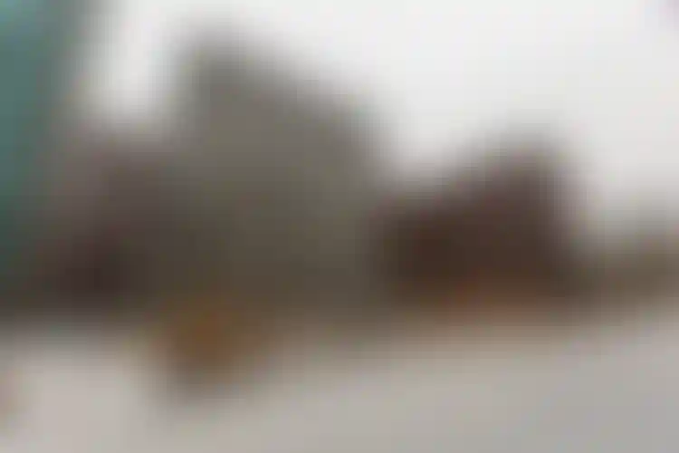 Изображение галереи