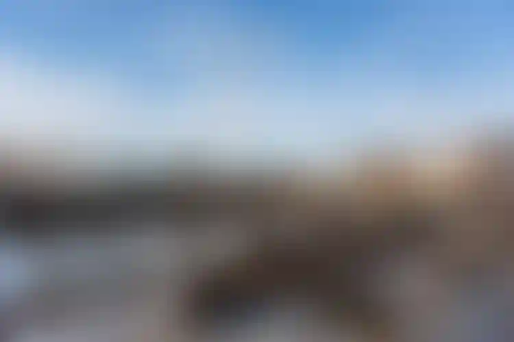 Изображение галереи