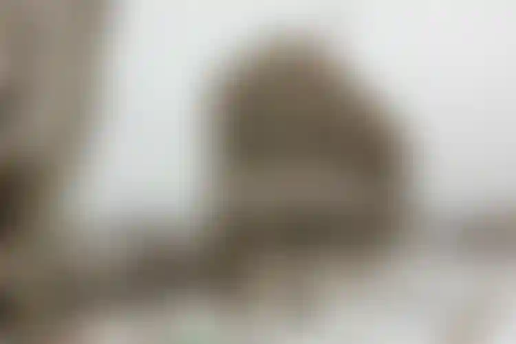 Изображение галереи