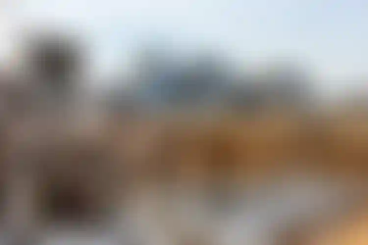 Изображение галереи