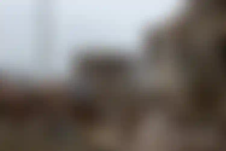 Изображение галереи