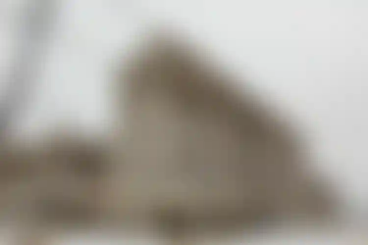 Изображение галереи