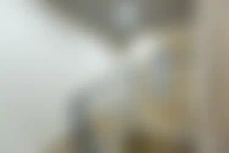 Изображение галереи