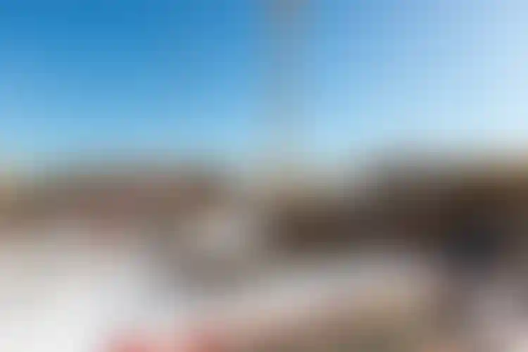 Изображение галереи