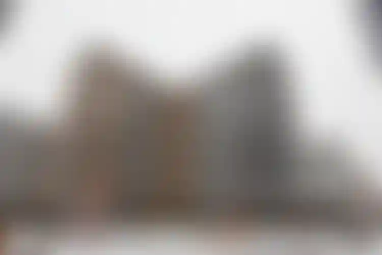 Изображение галереи