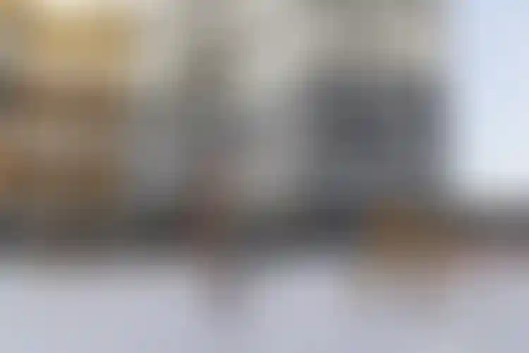 Изображение галереи