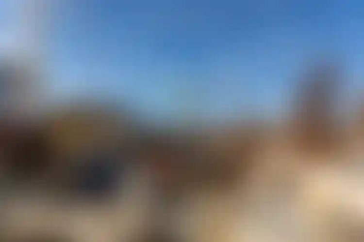 Изображение галереи