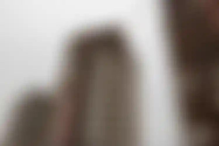 Изображение галереи