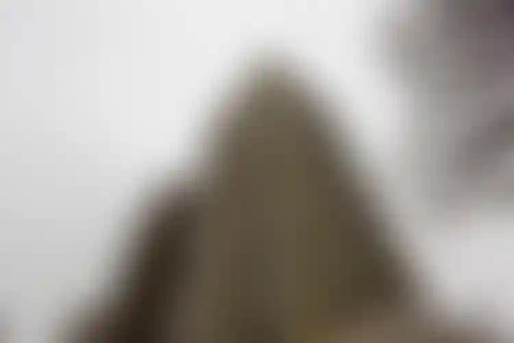 Изображение галереи