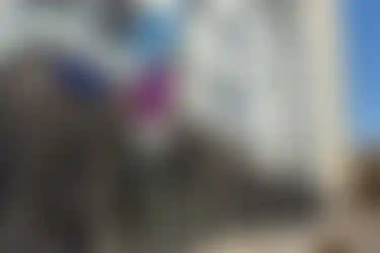 Изображение галереи