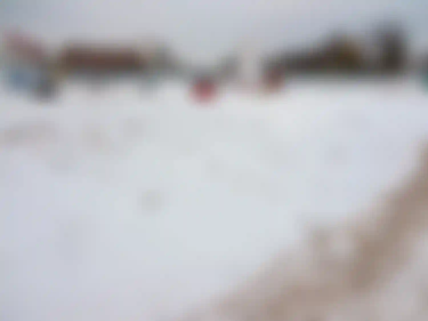 Изображение галереи