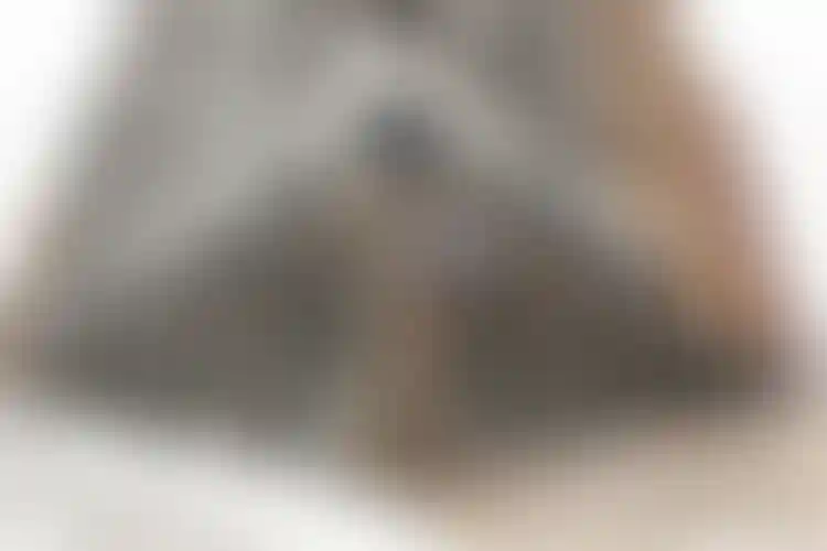 Изображение галереи