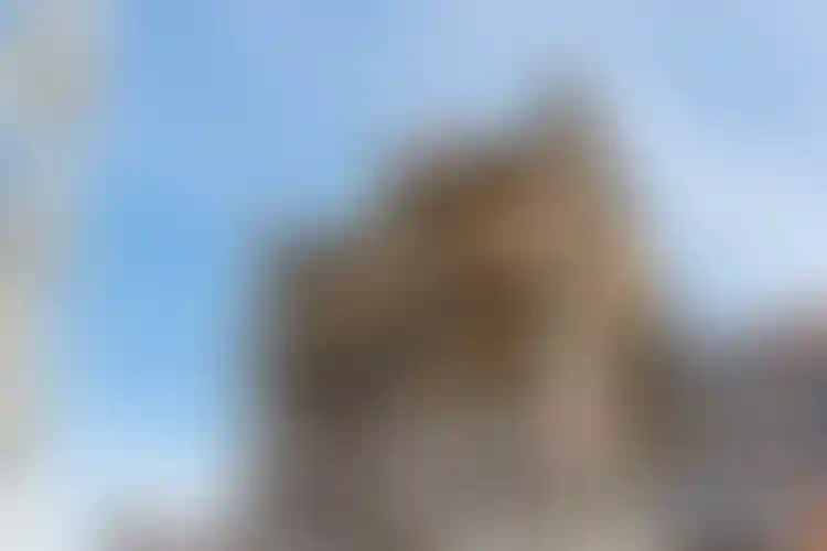 Изображение галереи